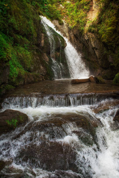 istock Choodor Waterfall at Lake Teletskoye 1176589289