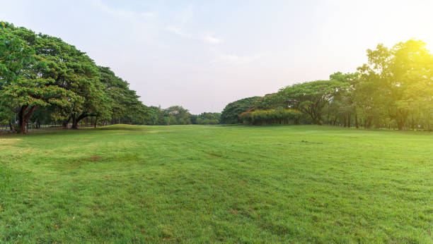 istock Panoramic green grass field in park at city center. 1176591737