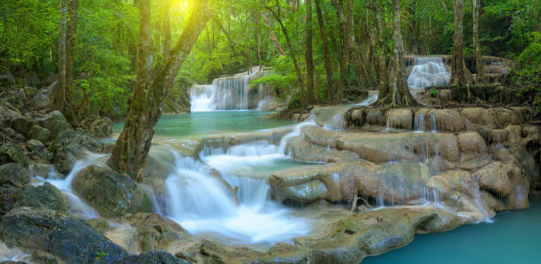 панорамный красивый глубокий лесной водопад в таиланде - waterfall thailand tropical rainforest tropical climate стоковые фото и изображения