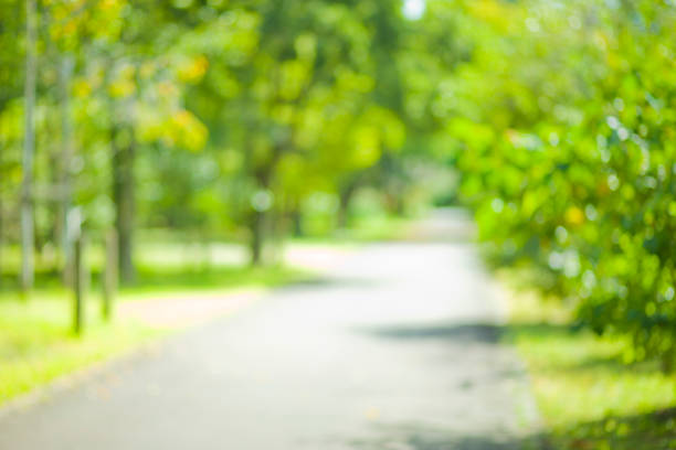 istock green nature blur bokeh background 1176596407