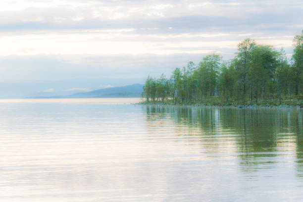 vista romántica y misteriosa del lago muy temprano en la mañana - spring forest scenics reflection fotografías e imágenes de stock