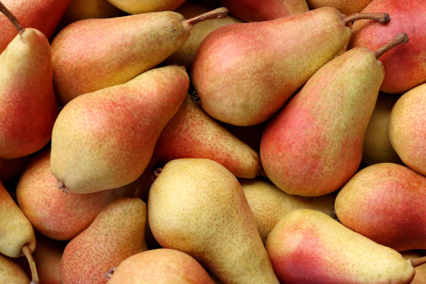 istock Pear filling texture. Pears freshness background. 1176597107