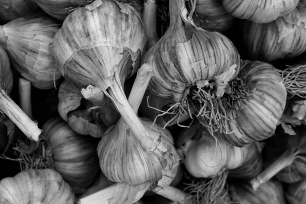 istock Black and white garlic filling texture. Garlic freshness background. 1176597162