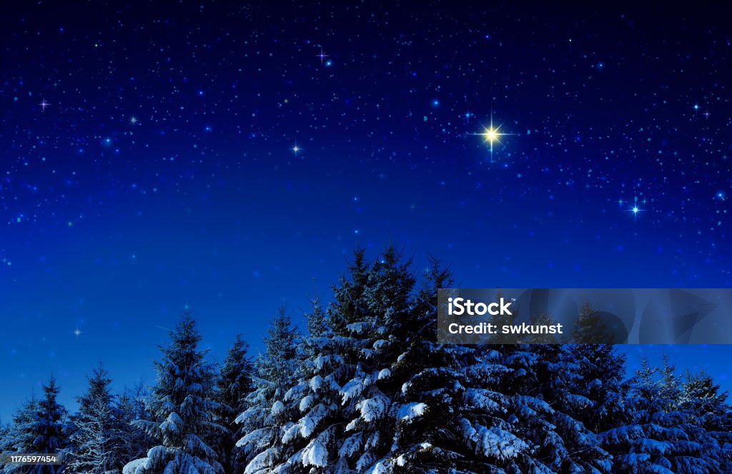 Christmas background with stars and trees in winter forest. Winter forest with snow covered fir trees and stars sky . Christmas Stock Photo