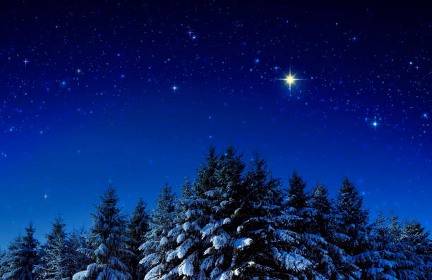 Christmas background with stars and trees in winter forest. stock photo