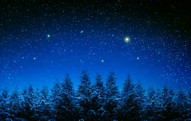 Christmas background with stars and trees in winter forest. stock photo