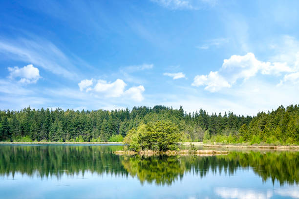 istock Colorful lake scenery with reflections of trees 1176598472
