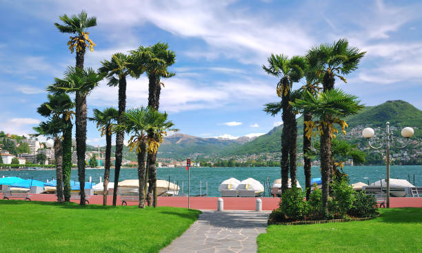 promenada lugano nad jeziorem lugano, ticino canton,szwajcaria - ticino canton mountain lake lugano lake zdjęcia i obrazy z banku zdjęć