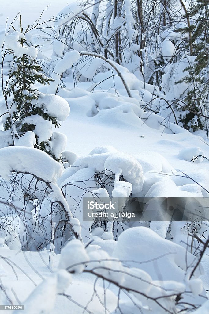 겨울맞이 풍경/인공눈 임산 - 로열티 프리 0명 스톡 사진
