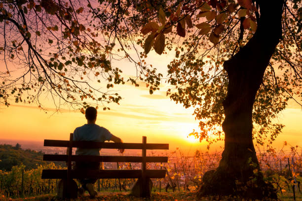 genießen sie den sonnenuntergang auf einer bank - contemplation silhouette tree men stock-fotos und bilder