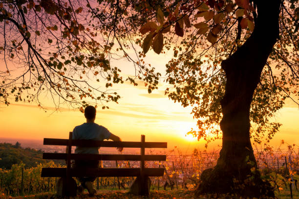 Enjoying the sunset on a bench Silhouette of a man sitting on a park bench and enjoying a magnificent autumn sunset sitting on bench stock pictures, royalty-free photos & images