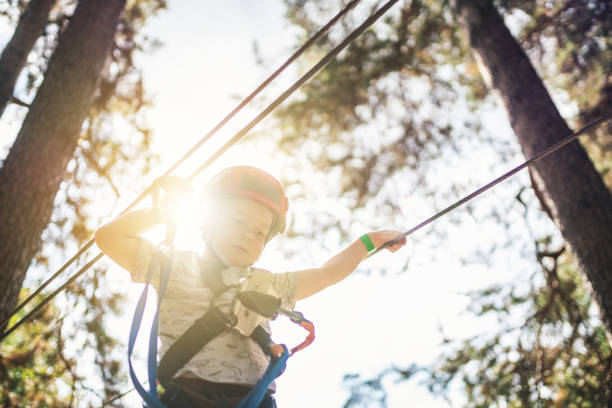 istock Cute little boy in an adventure park 1176606744