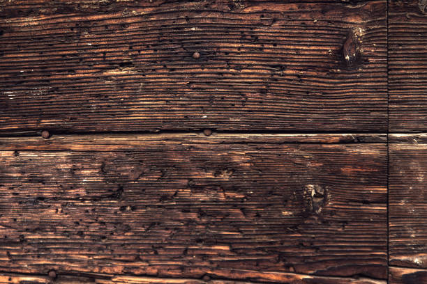 Old brown door detail texture
