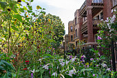 istock Beautiful Garden in front of a Row of Old Homes in Andersonville Chicago 1176608416