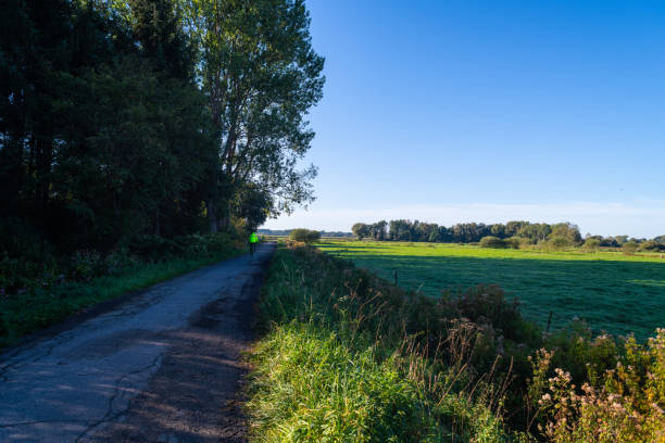 istock a walk through  nature and the fields in the blue sky and bright sunshine 1176609660