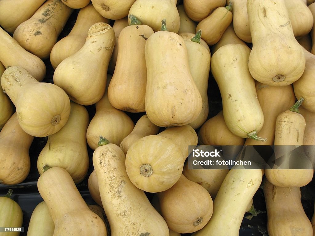 Kürbisse Moschus-Kürbis - Lizenzfrei Bauernmarkt Stock-Foto