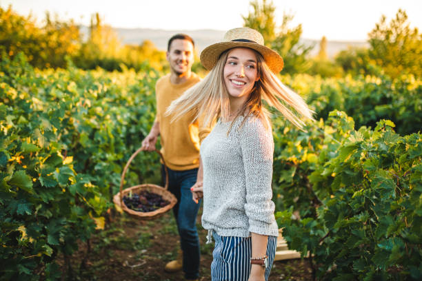 istock Taking a stroll through the vineyards on sunny afternoon 1176615491