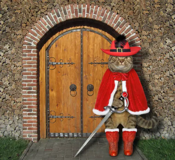 The cat musketeer in a red cloak, a hat with a feather and boots holds a sword at the gate of the castle.