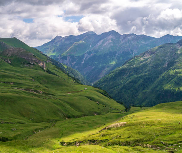 istock Green meadow and mountainsides along Grossglockner High Alpine Road, Austria 1176616175