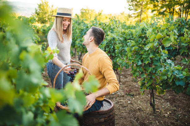 istock Happiness at harvest time 1176616178