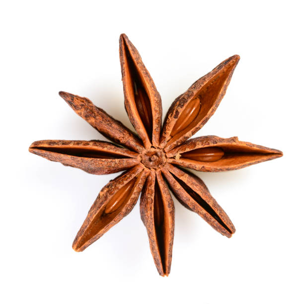 istock Star anise. Single star anise fruit. Macro close up Isolated on white square background, top view of chinese badiane spice or Illicium verum. 1176618184