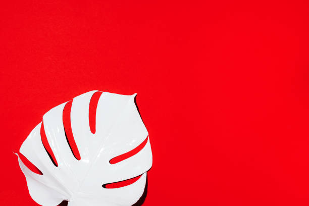 istock Summer composition. White tropical palm leaves on red background. Summer concept. Flat lay, top view, copy space 1176619973