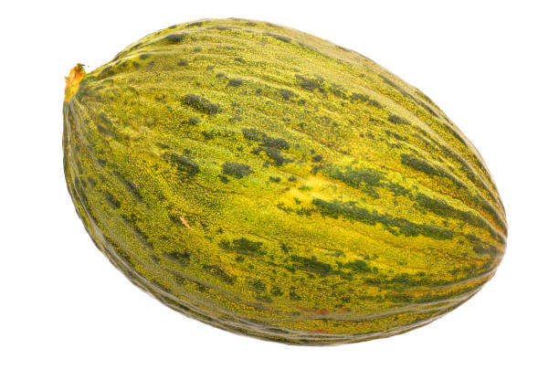 istock Christmas melon or piel de sapo close-up 3d rendering with realistic texture isolated on white background 1176620914