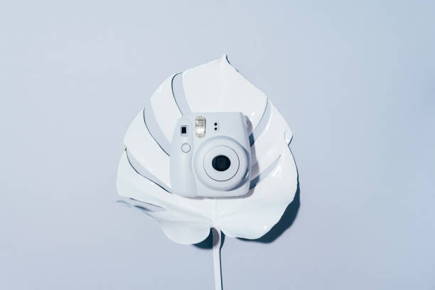 istock Vilnius, Lithuania - September 16, 2019: FUJIFILM INSTAX Mini Instant Film Camera on grey background. 1176621332