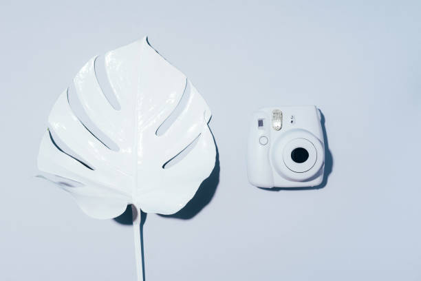Vilnius, Lithuania - September 16, 2019: FUJIFILM INSTAX Mini Instant Film Camera on grey background.