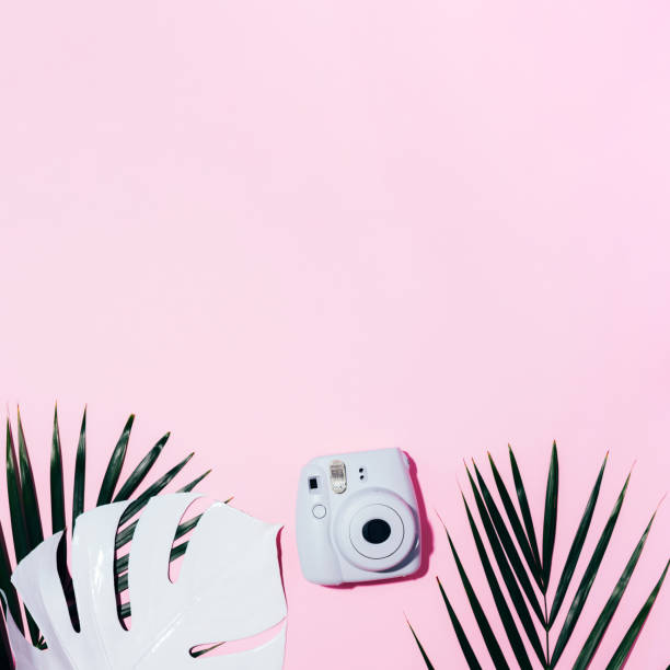 vilnius, litauen - 16. september 2019: fujifilm instax mini instant film camera auf rosa hintergrund. - palm leaf flash stock-fotos und bilder