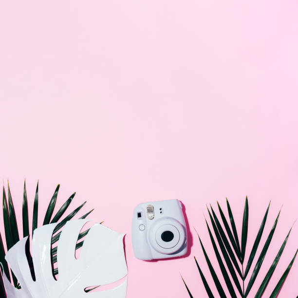 vilnius, lithuania - september 16, 2019: fujifilm instax mini instant film camera on pink background. - palm leaf flash imagens e fotografias de stock