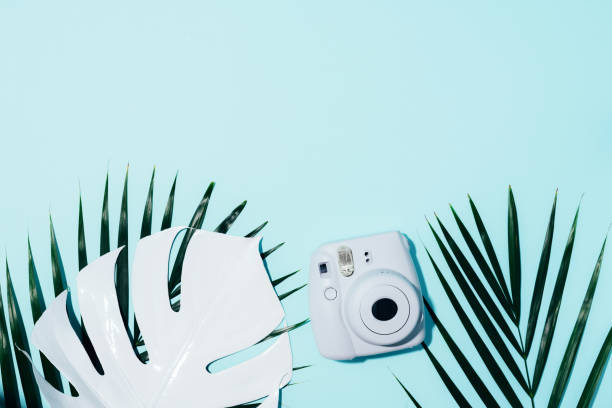 vilnius, lithuania - september 16, 2019: fujifilm instax mini instant film camera on blue background. - palm leaf flash imagens e fotografias de stock