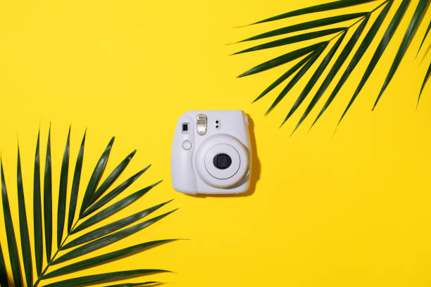 vilnius, litauen - 16. september 2019: fujifilm instax mini instant film camera auf gelbem hintergrund. - palm leaf flash stock-fotos und bilder