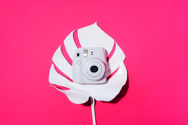 vilnius, lithuania - september 16, 2019: fujifilm instax mini instant film camera on pink background. - palm leaf flash imagens e fotografias de stock