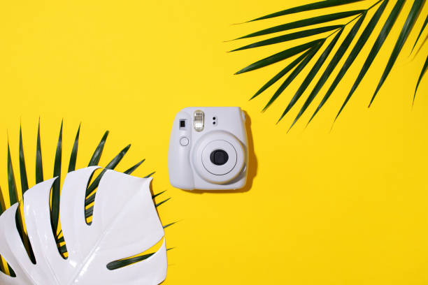 vilnius, litauen - 16. september 2019: fujifilm instax mini instant film camera auf gelbem hintergrund. - palm leaf flash stock-fotos und bilder