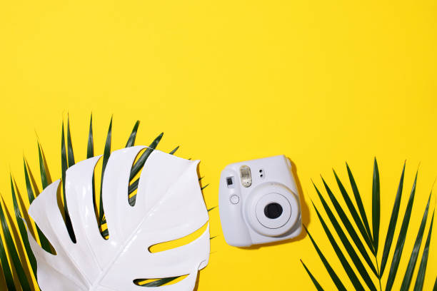 vilnius, lithuania - september 16, 2019: fujifilm instax mini instant film camera on yellow background. - palm leaf flash imagens e fotografias de stock