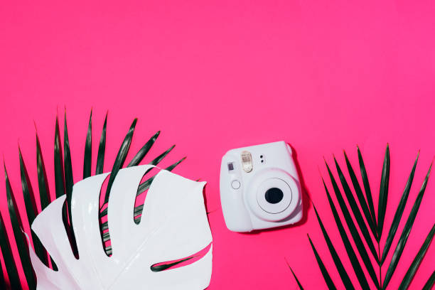 vilnius, litauen - 16. september 2019: fujifilm instax mini instant film camera auf rosa hintergrund. - palm leaf flash stock-fotos und bilder