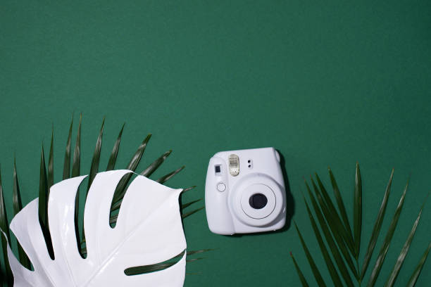 vilnius, litauen - 16. september 2019: fujifilm instax mini instant film camera auf grünem hintergrund. - palm leaf flash stock-fotos und bilder