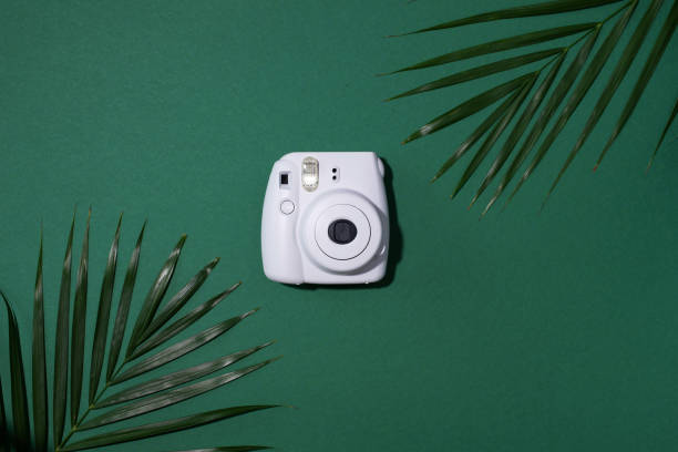 vilnius, lithuania - september 16, 2019: fujifilm instax mini instant film camera on green background. - palm leaf flash imagens e fotografias de stock