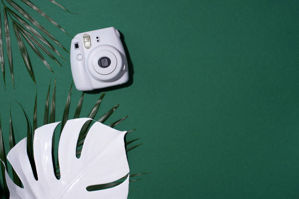 vilnius, lithuania - september 16, 2019: fujifilm instax mini instant film camera on green background. - palm leaf flash imagens e fotografias de stock