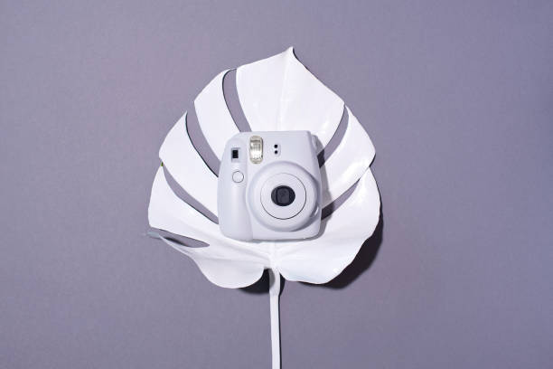 istock Vilnius, Lithuania - September 16, 2019: FUJIFILM INSTAX Mini Instant Film Camera on grey background. 1176621702