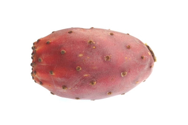 Cactus fig on a white background