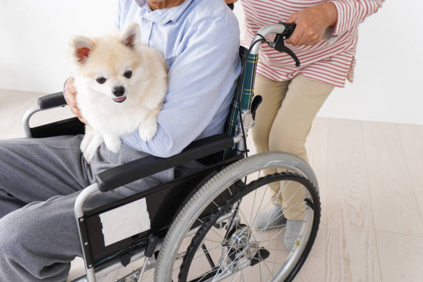 istock Senior woman care for her husband 1176625593