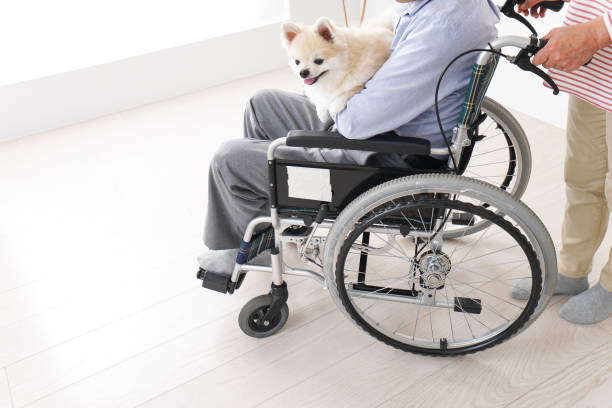 istock Senior woman care for her husband 1176625614