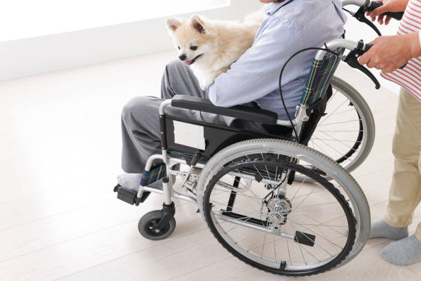 istock Senior woman care for her husband 1176625617