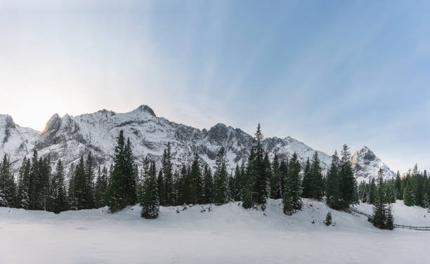 paisaje alpino de invierno con montañas nevadas y árboles - austria mountain panoramic ehrwald fotografías e imágenes de stock