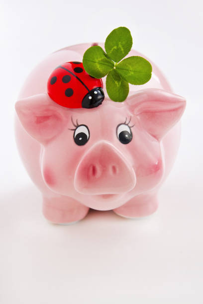 istock Lucky pig with lucky clover and ladybug 1176629129