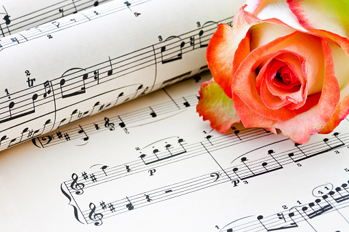 Old sheet music with rose alf background