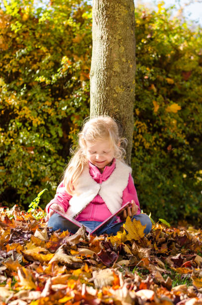 adorable blond child reading book by the trunk in autumnal sunset afmosphere stock photo