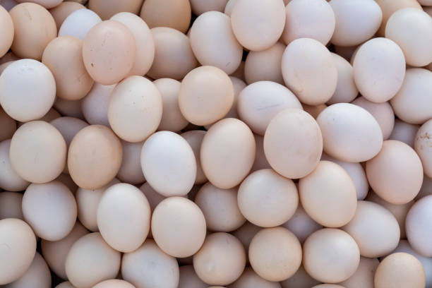 istock Natural and organic eggs are stacked like background. 1176630048